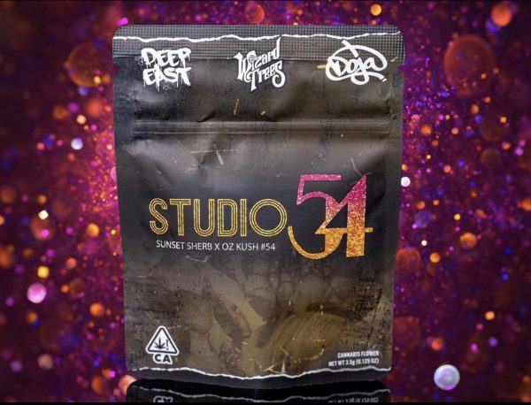 Doja Exclusive – Wizard Trees | Studio 54