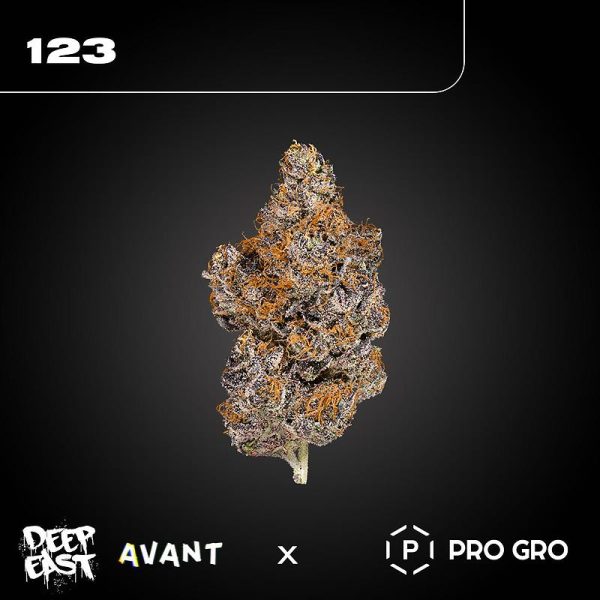 Avant 123 by Deep East Farms x Wizard Trees