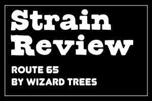 strain review route65 1024x683 1