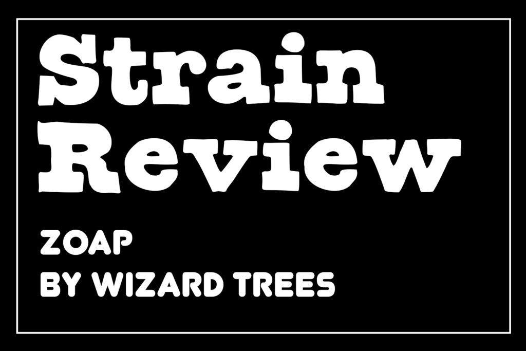 Zoap by Wizard Trees