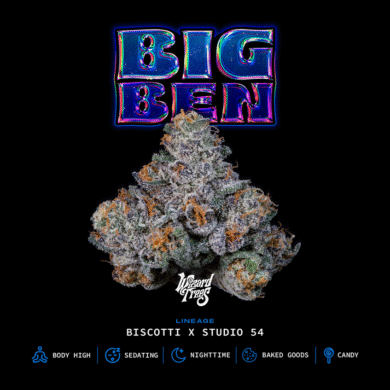 Wizard Trees Genetics  Big Ben
