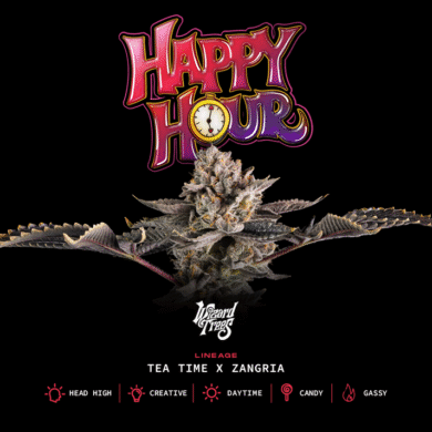 Wizard Trees Genetics  Happy Hour 3 count