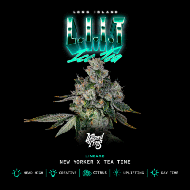Wizard Trees Genetics L.I.I.T.