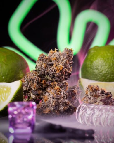 Wizard Trees Genetics  Limelight