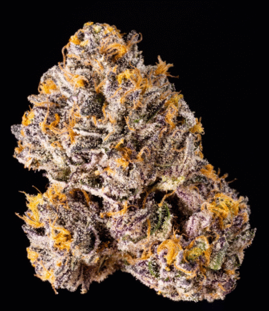 Wizard Trees Genetics The Keeper