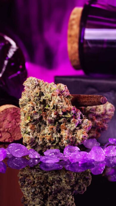 Wizard Trees Genetics  Wizard Fuel
